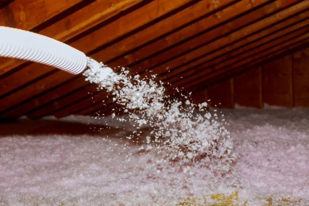 Best Energy-efficient Insulation  in East Glenville, NY